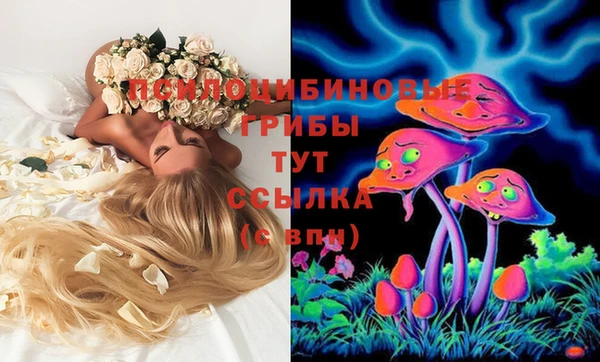 эйфоретик Алексин
