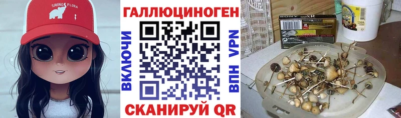 где купить Белоярский Галлюциногенные грибы GOLDEN TEACHER